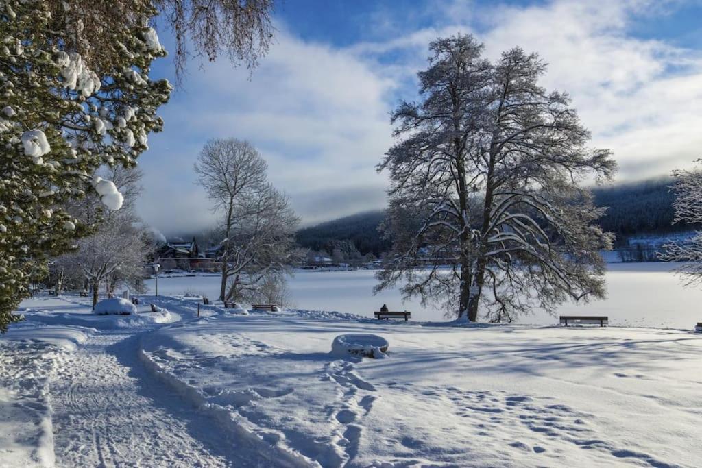 Waldblick Titisee Exterior foto
