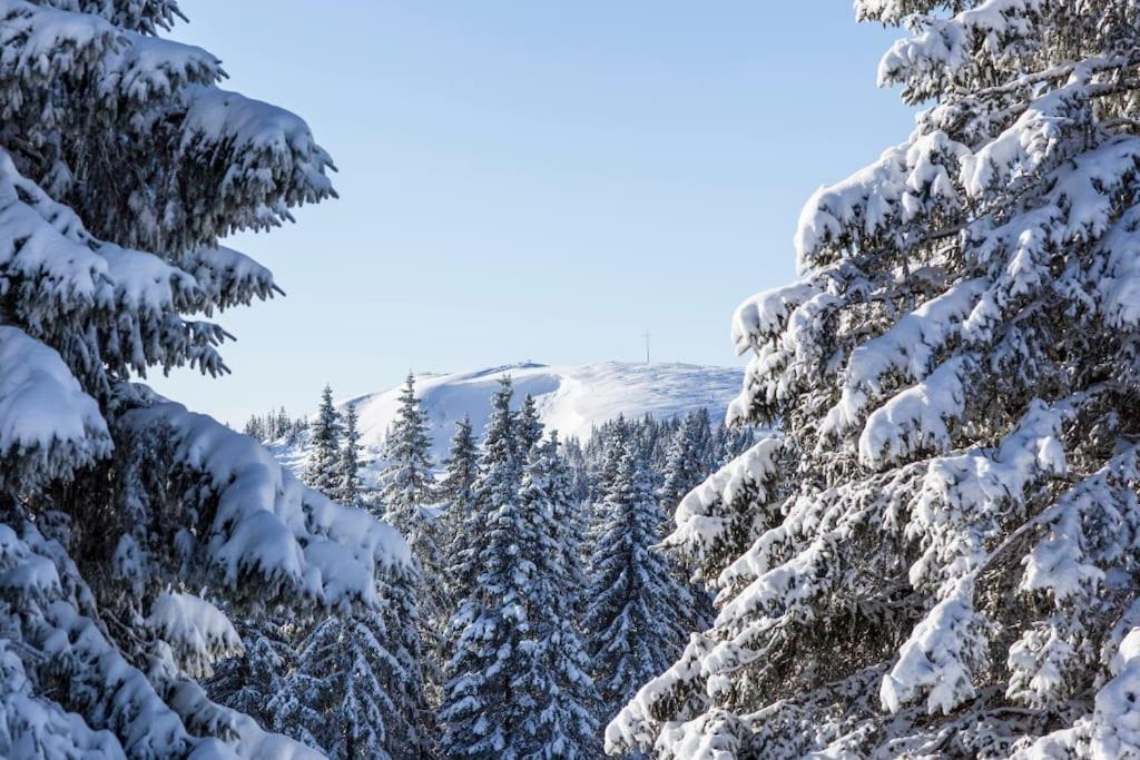 Waldblick Titisee Exterior foto