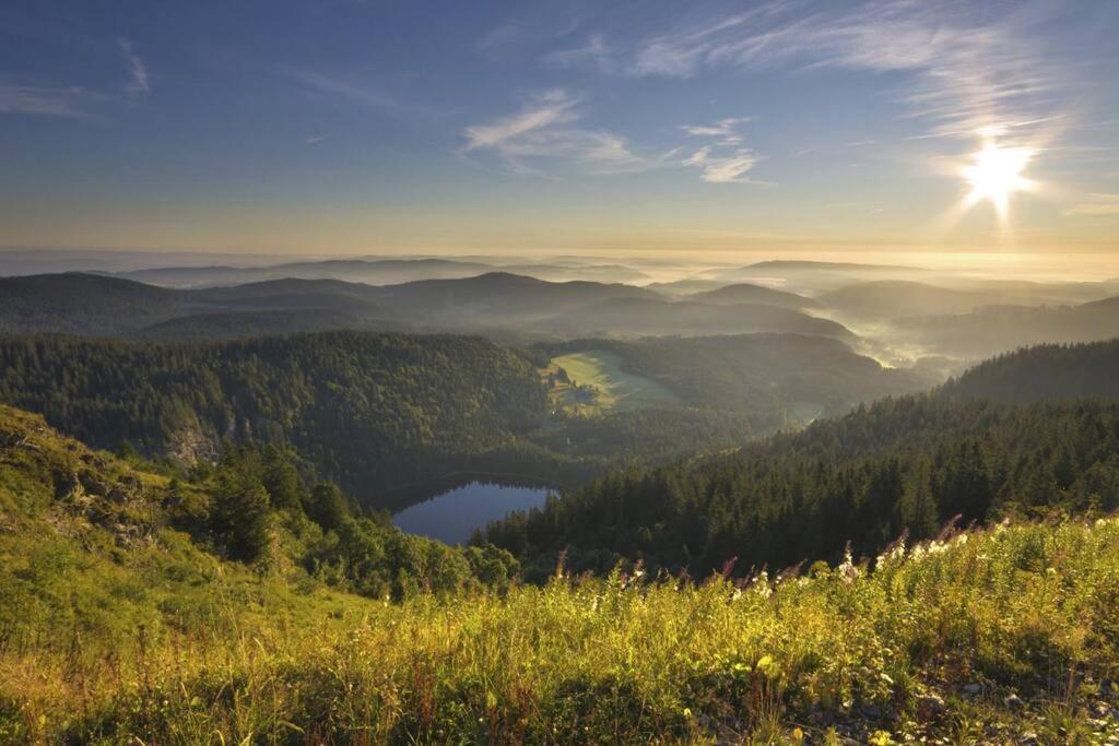 Waldblick Titisee Exterior foto