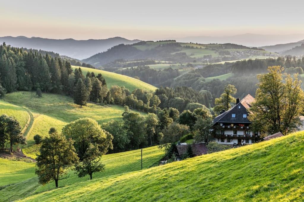 Waldblick Titisee Exterior foto