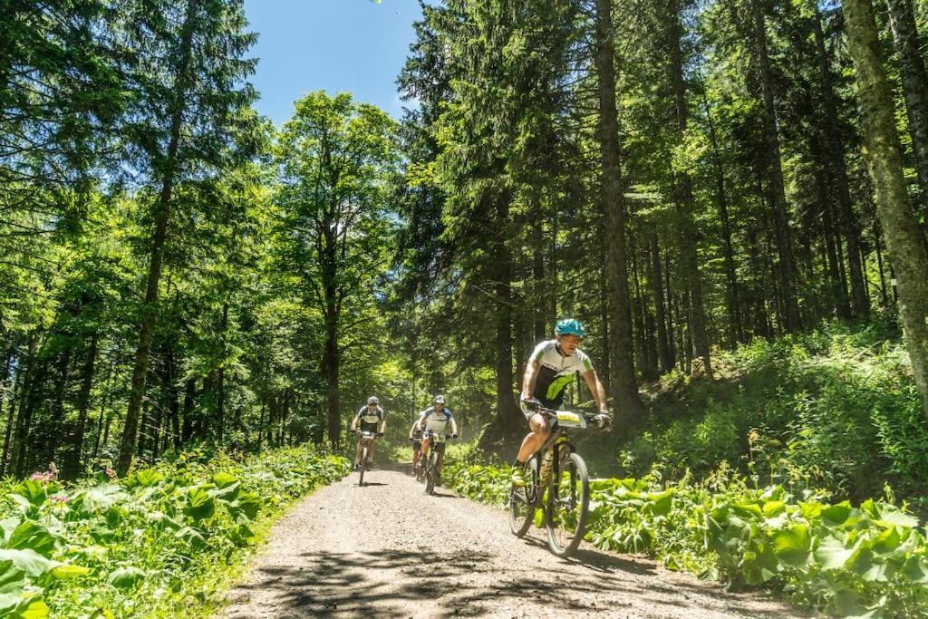 Waldblick Titisee Exterior foto