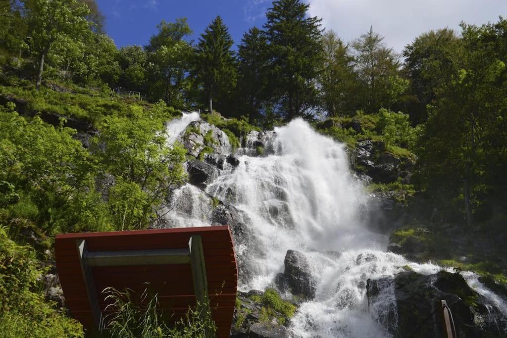 Waldblick Titisee Exterior foto